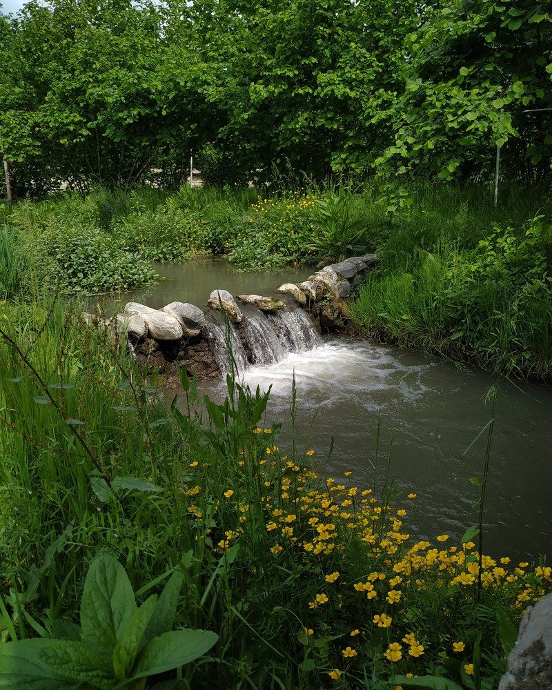 Photograph by Гюнель Султанова