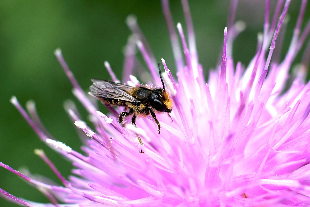 Фотография автора Артём Пышкин