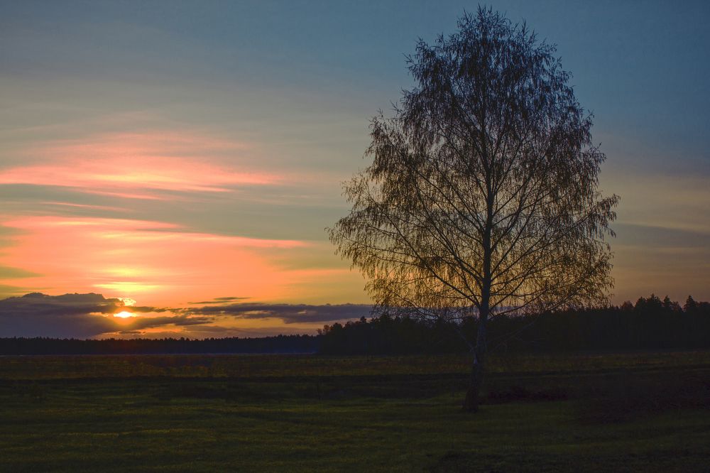 Photograph by Валерий