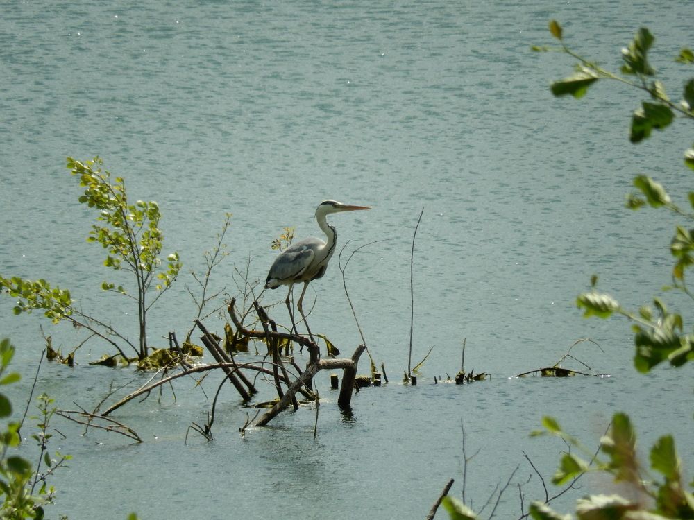 Фотография автора Клавдия Васильева