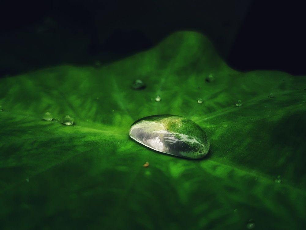 Photograph by Harshal Neman