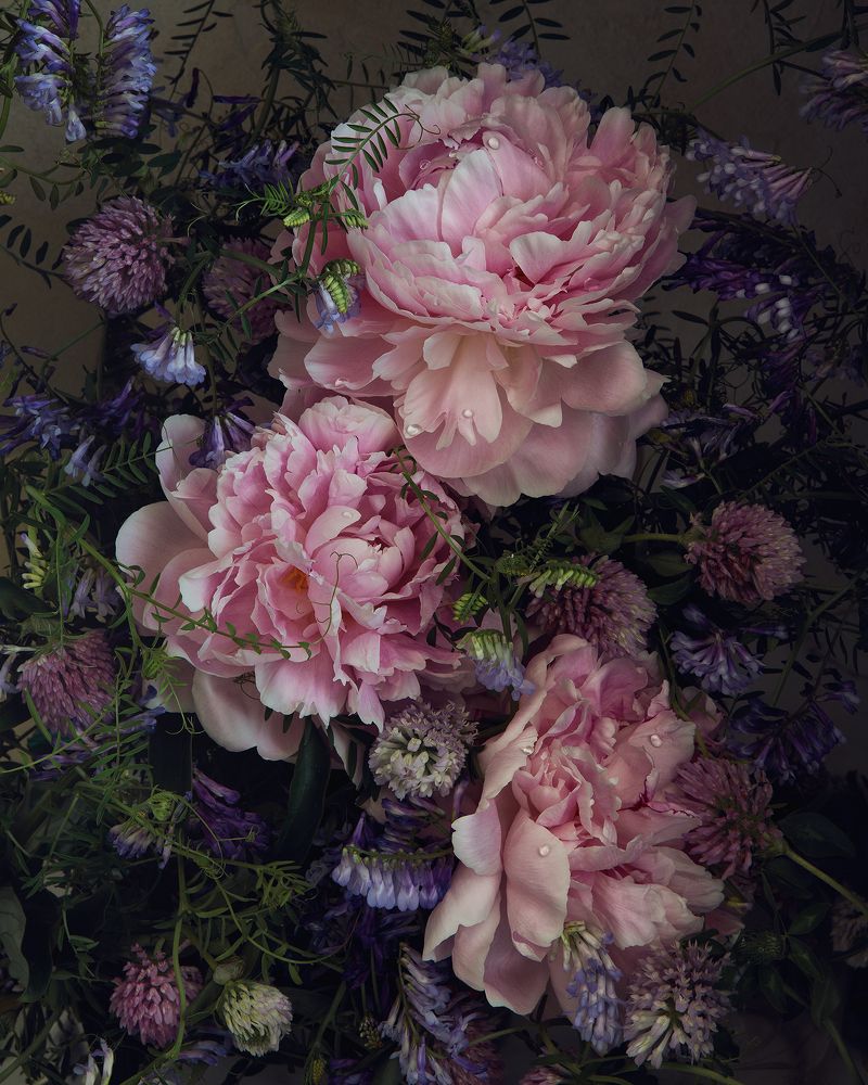 Photograph by Анастасия Кисляк