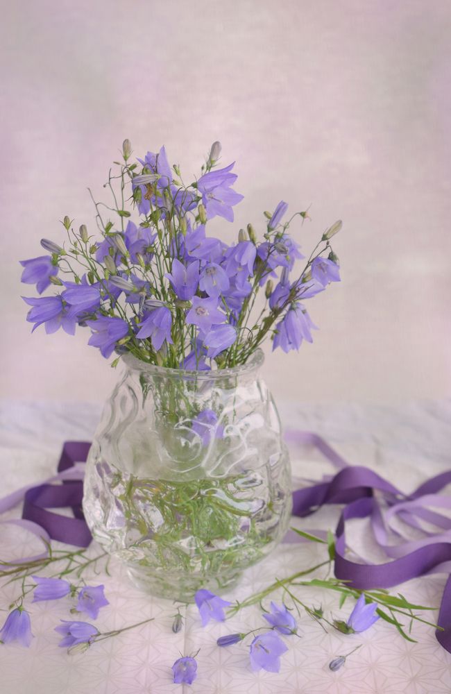 Photograph by Aušrinė Bui