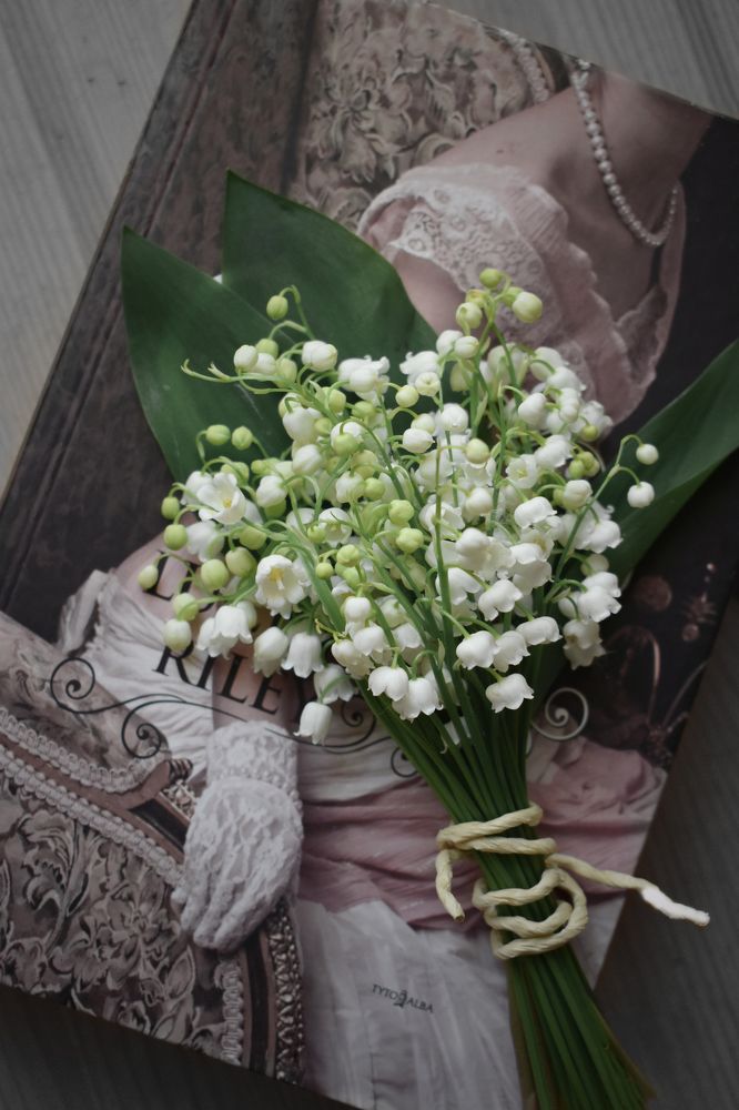 Photograph by Aušrinė Bui