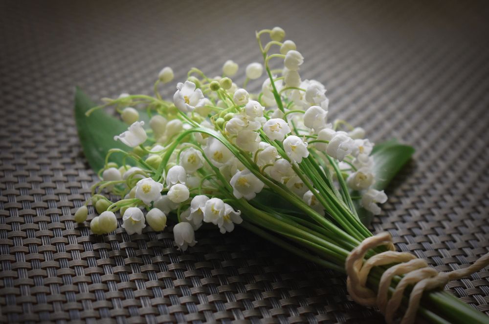 Photograph by Aušrinė Bui