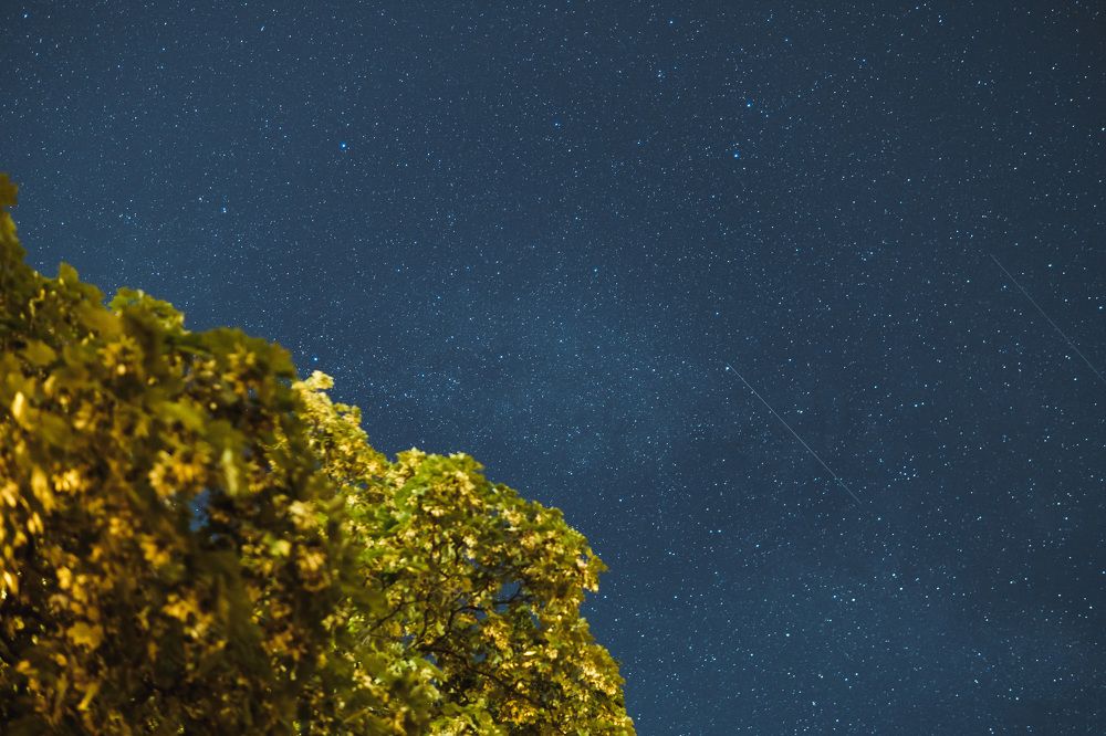 Photograph by Евгений Мериакре