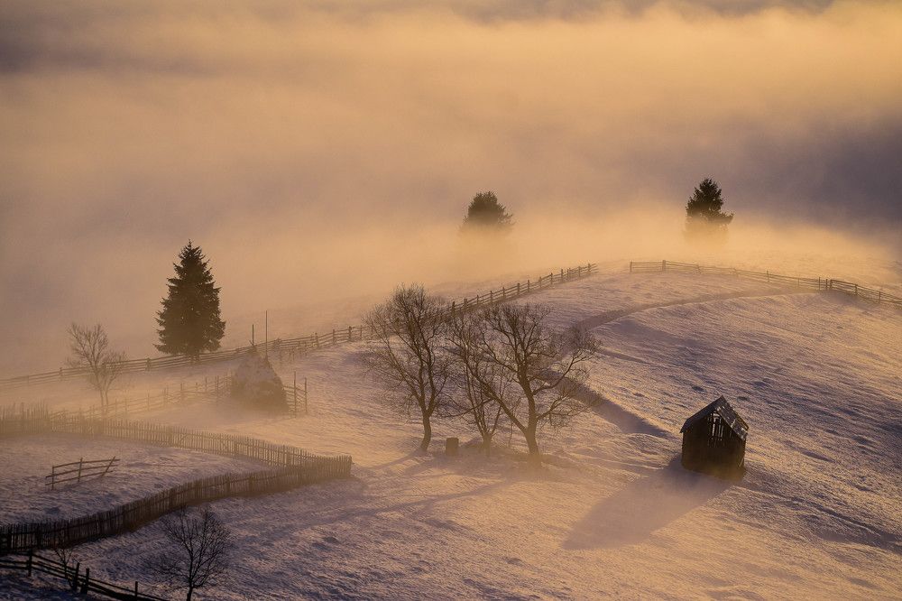 Photograph by Netedu David