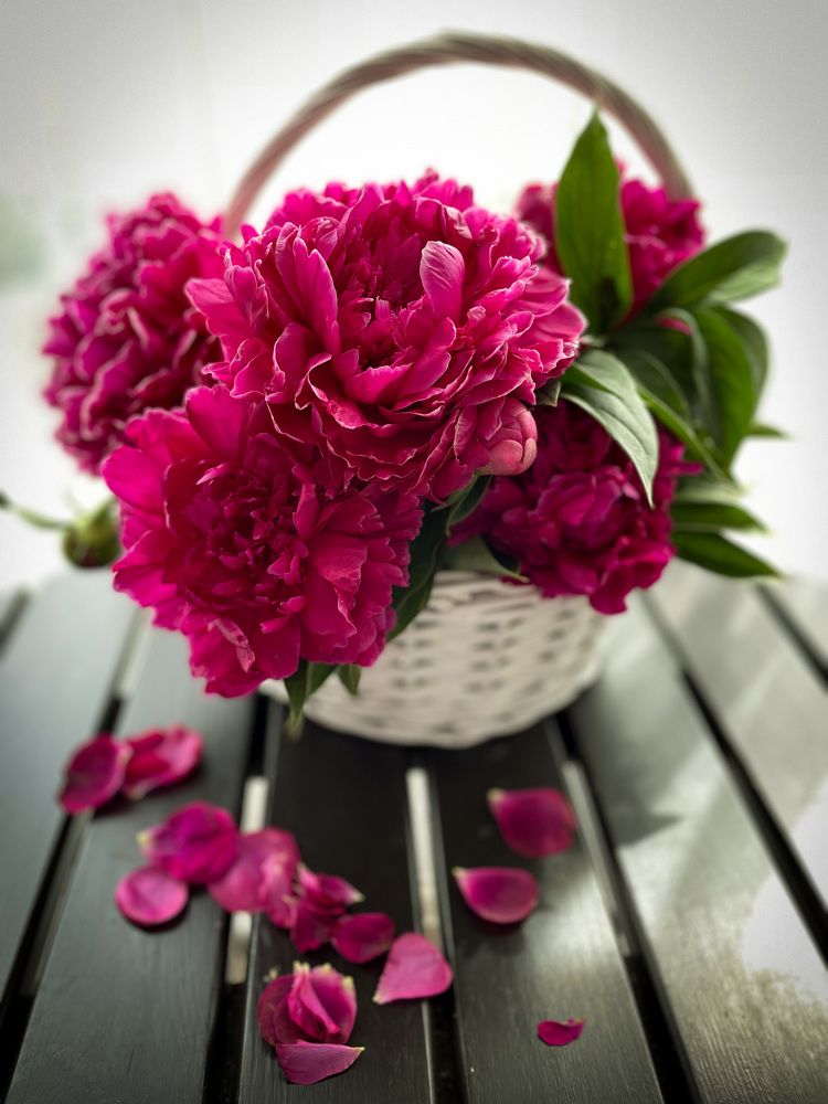 Фотография автора Рамзия Хисамутдинова