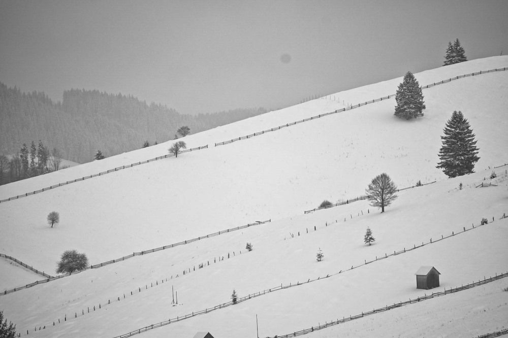 Photograph by Netedu David