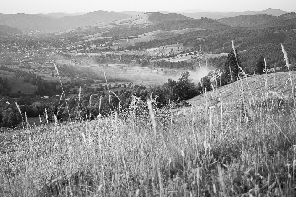 Photograph by Netedu David