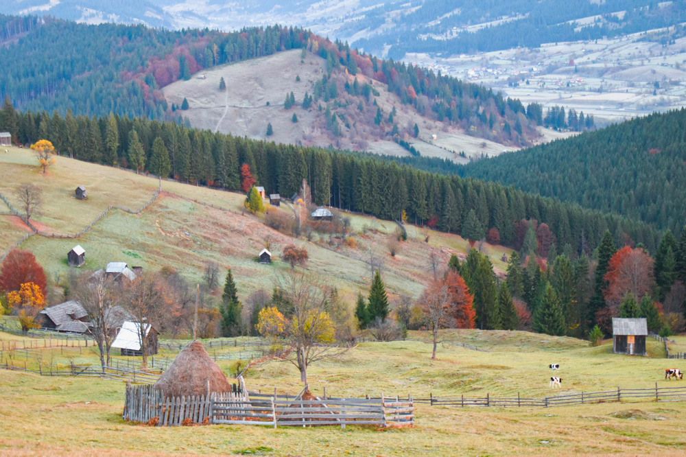 Photograph by Netedu David