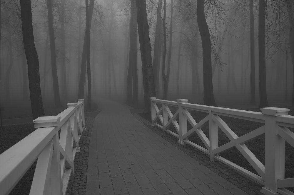 Фотография автора Елена Колосова