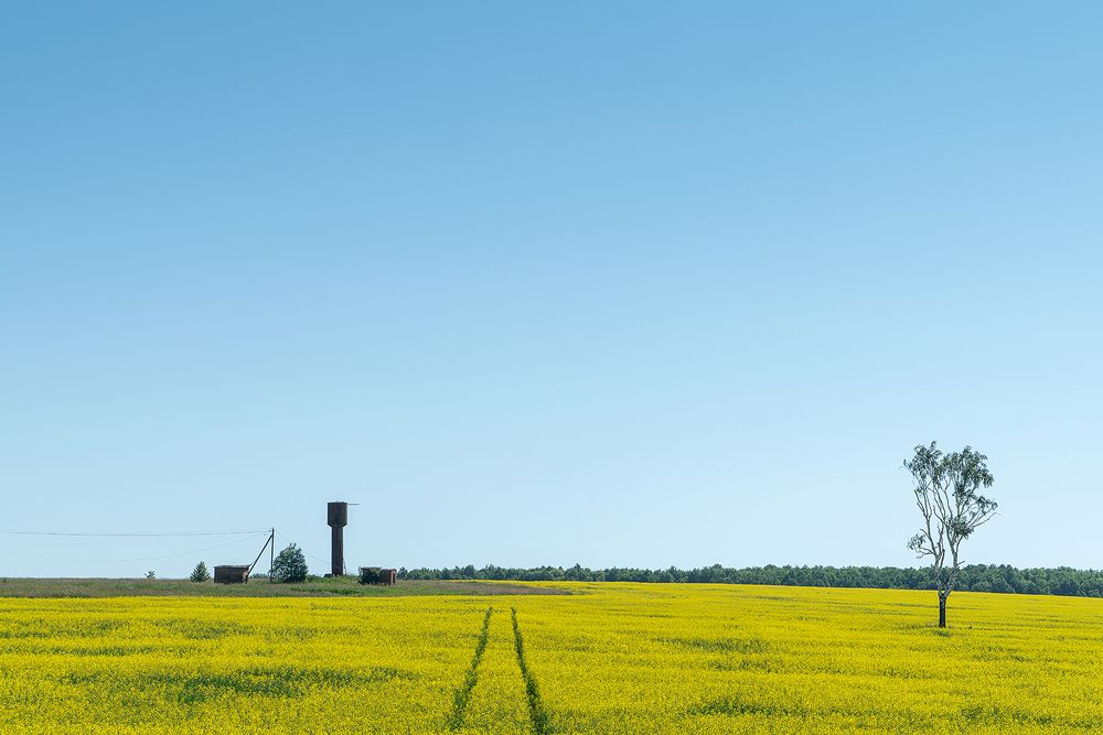 Photograph by Yuri Vatulin