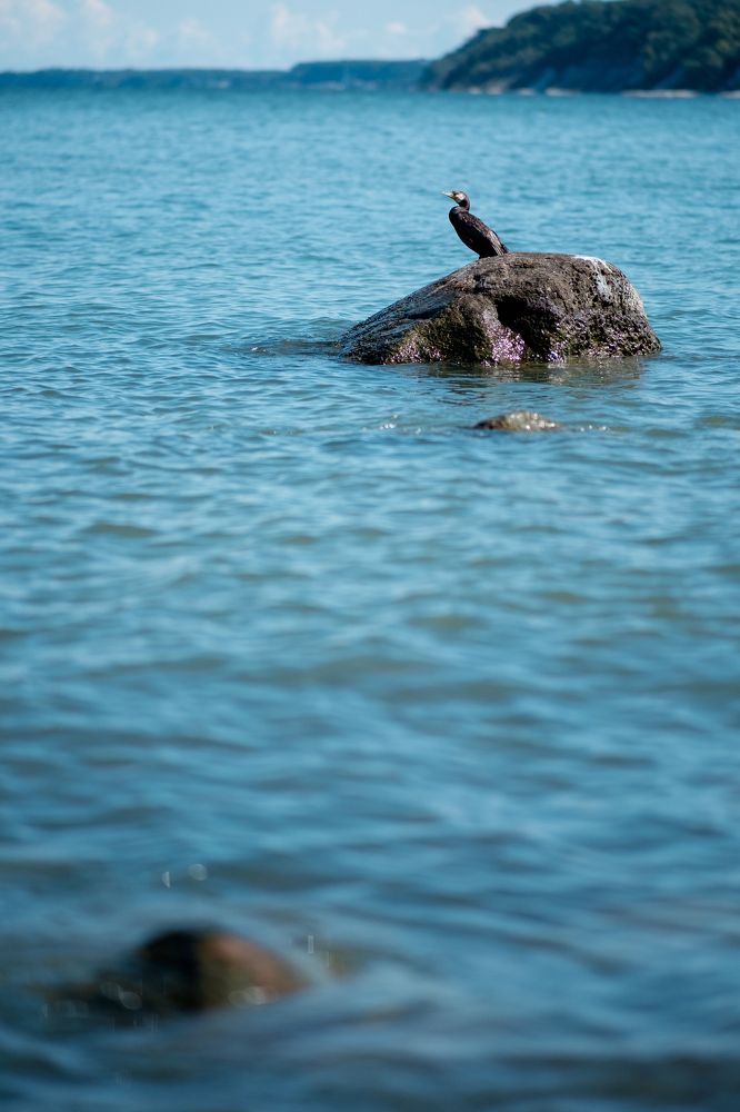 Photograph by Юрий Хорошев