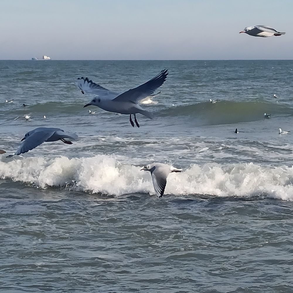 Photograph by Фарида