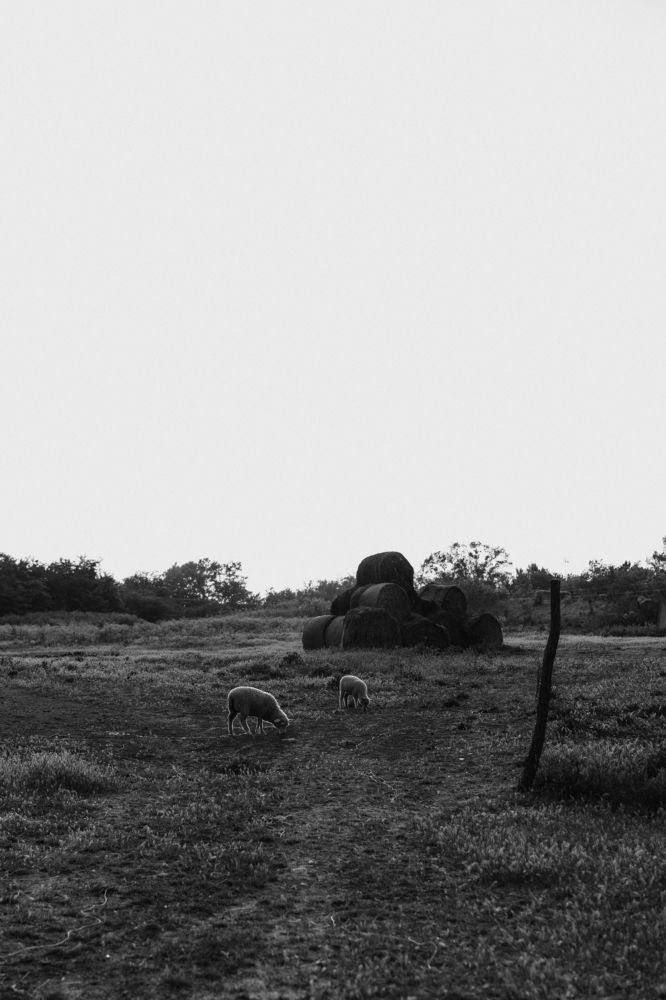 Photograph by Anna Brench