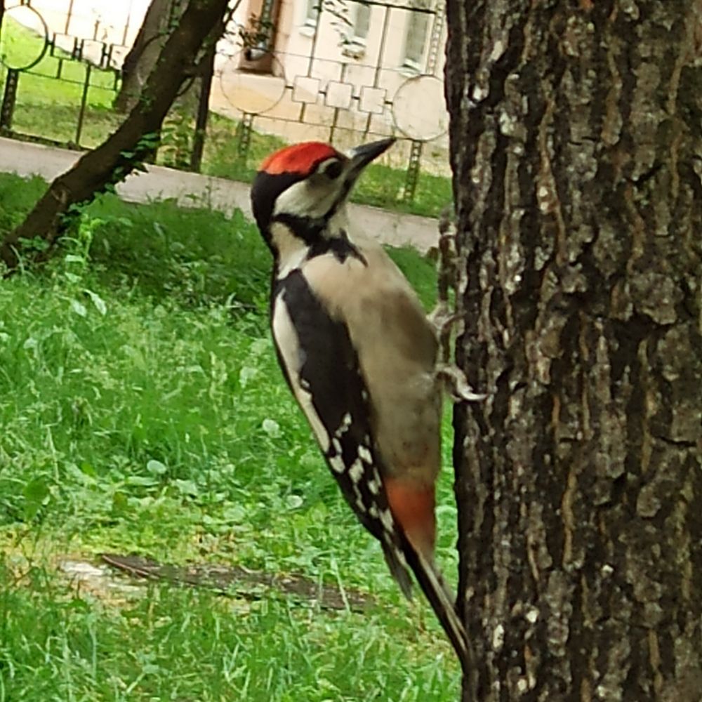 Photograph by Фарида