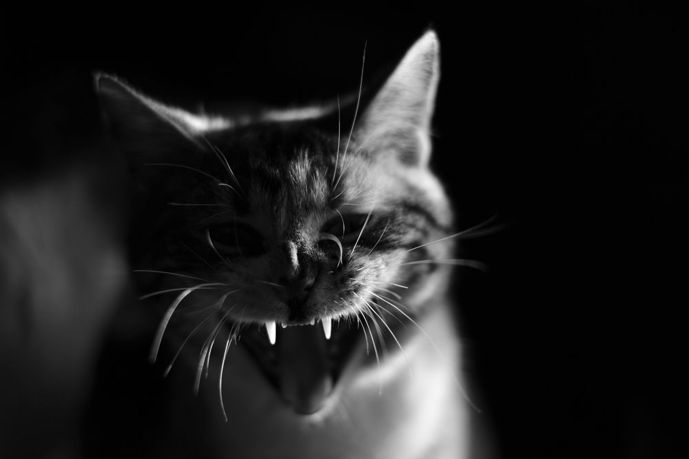 Photograph by Олег