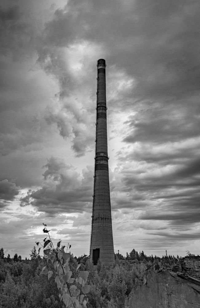 Photograph by Ольга Шиляева