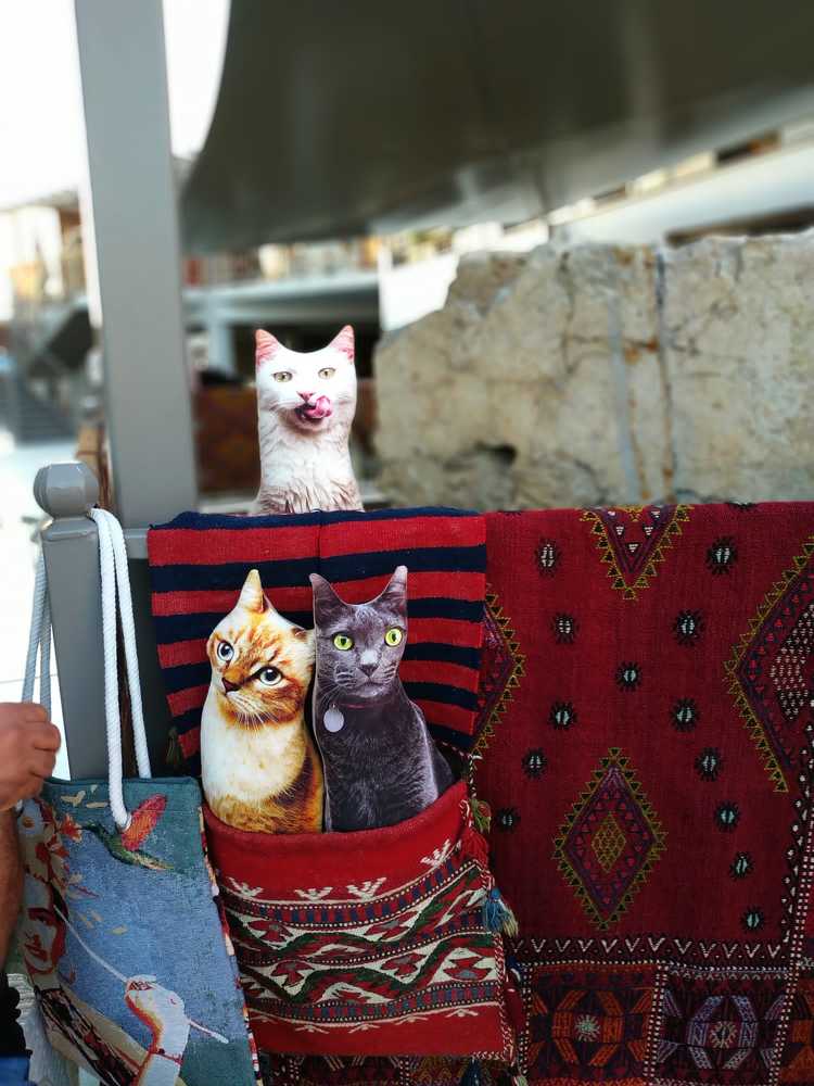 Photograph by Ирина