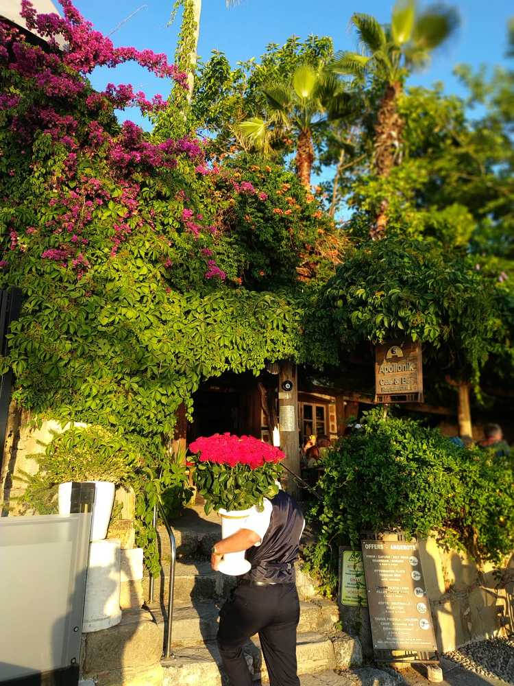 Photograph by Ирина