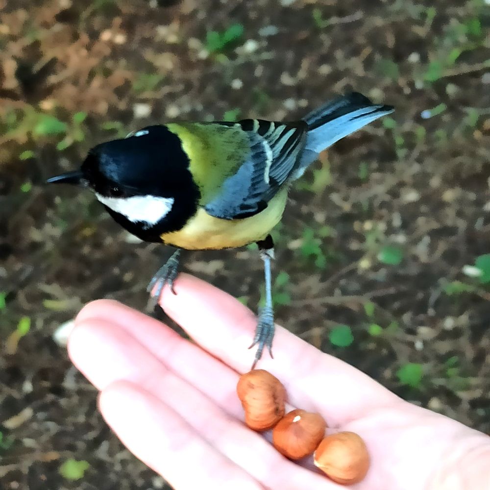 Photograph by Фарида