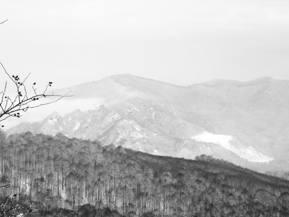 Photograph by Наталья Пусулиди