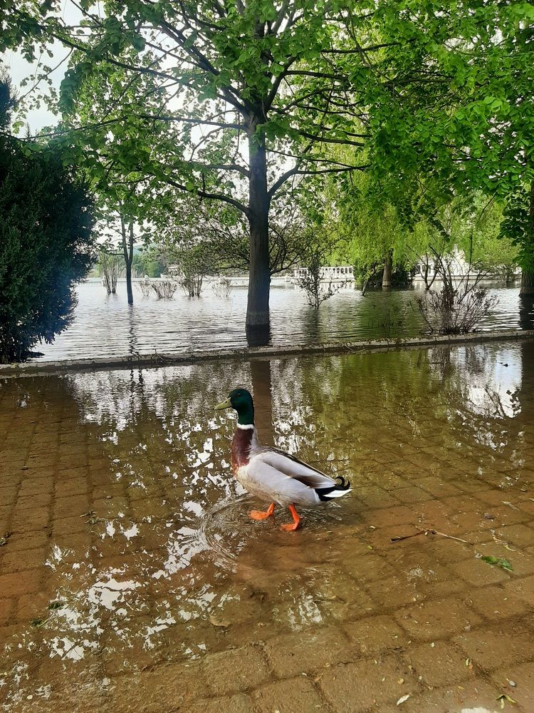 Photograph by Natalya Vasilenko