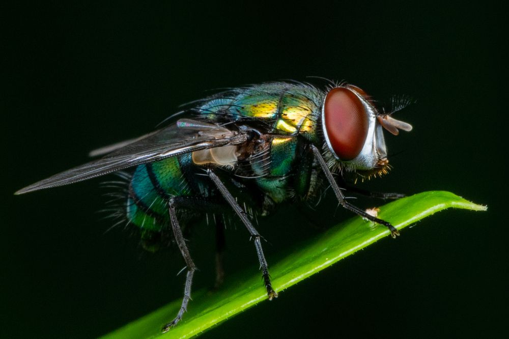 Photograph by Nicholas Ng