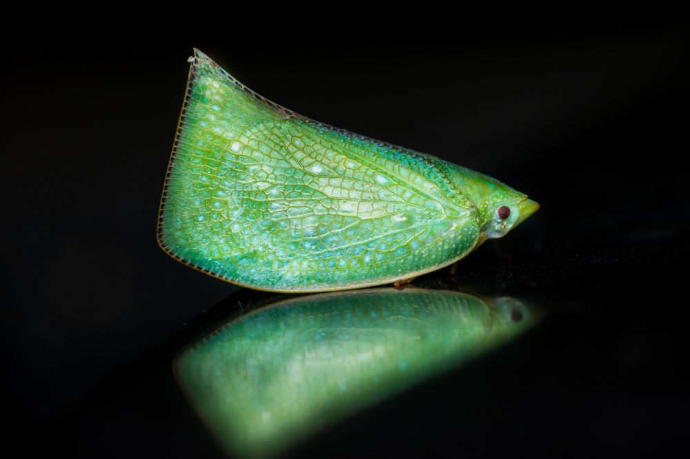 Photograph by Nicholas Ng