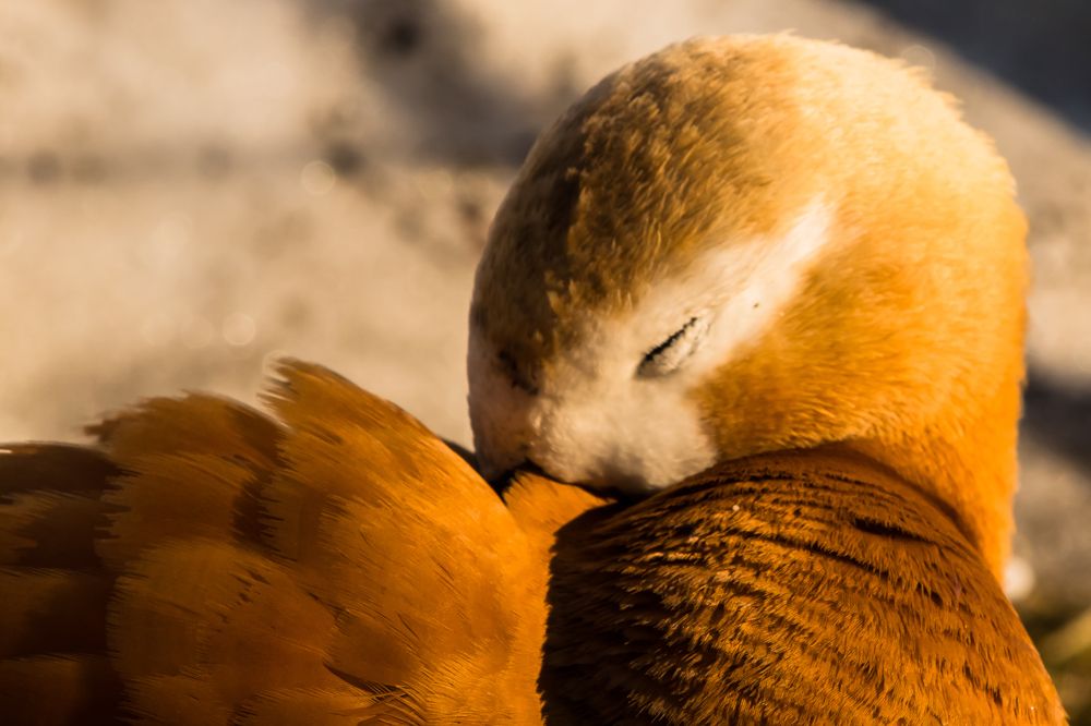 Photograph by Мария Тёмкина