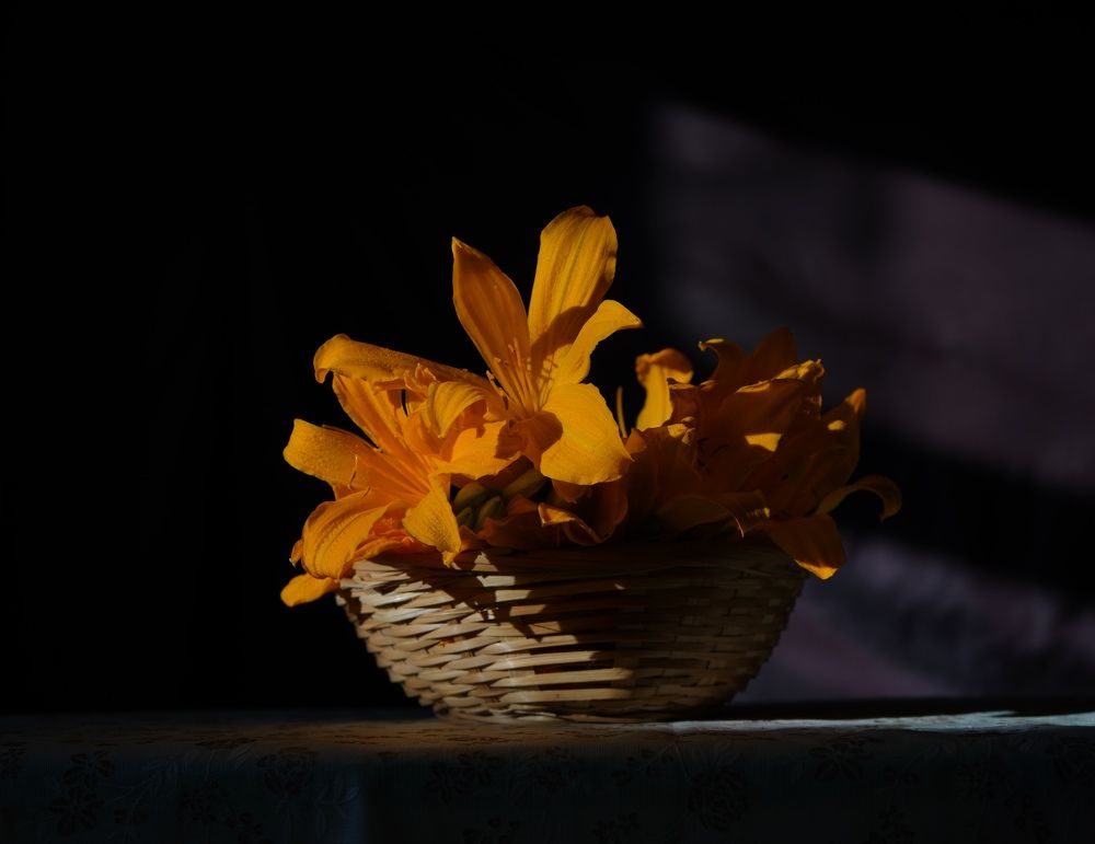 Photograph by Анна Брылева