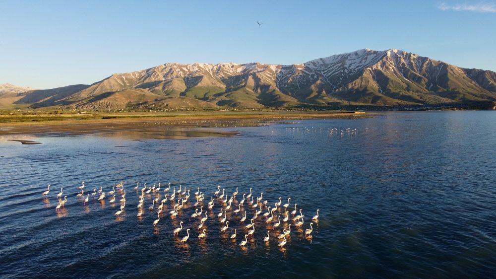 Photograph by Fatih YILMAZ