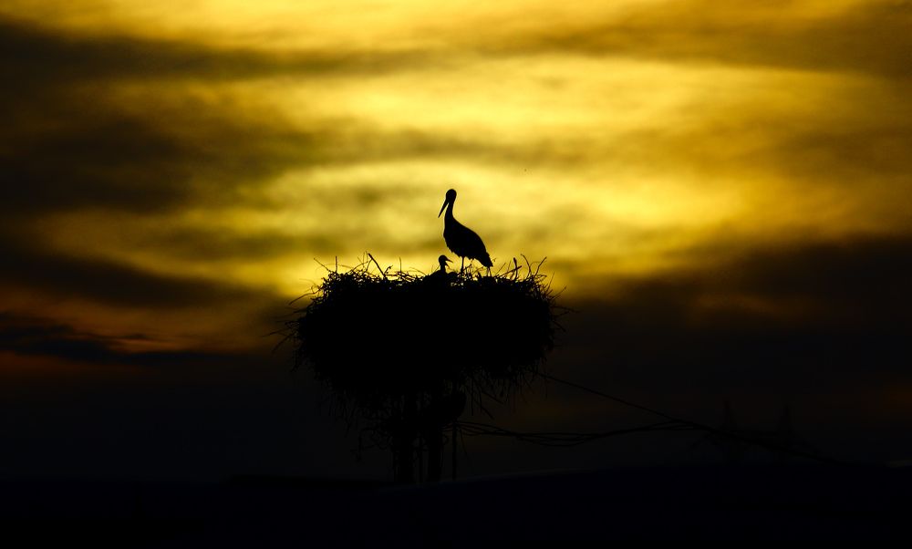 Photograph by Fatih YILMAZ