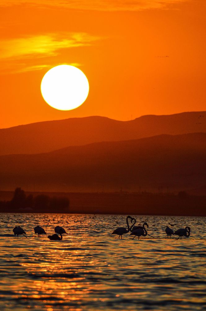 Photograph by Fatih YILMAZ