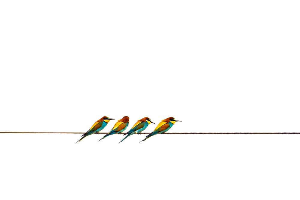 Photograph by Francisco José López Fernández