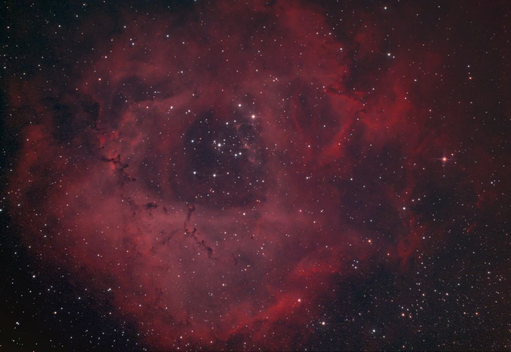 Туманность Розетка