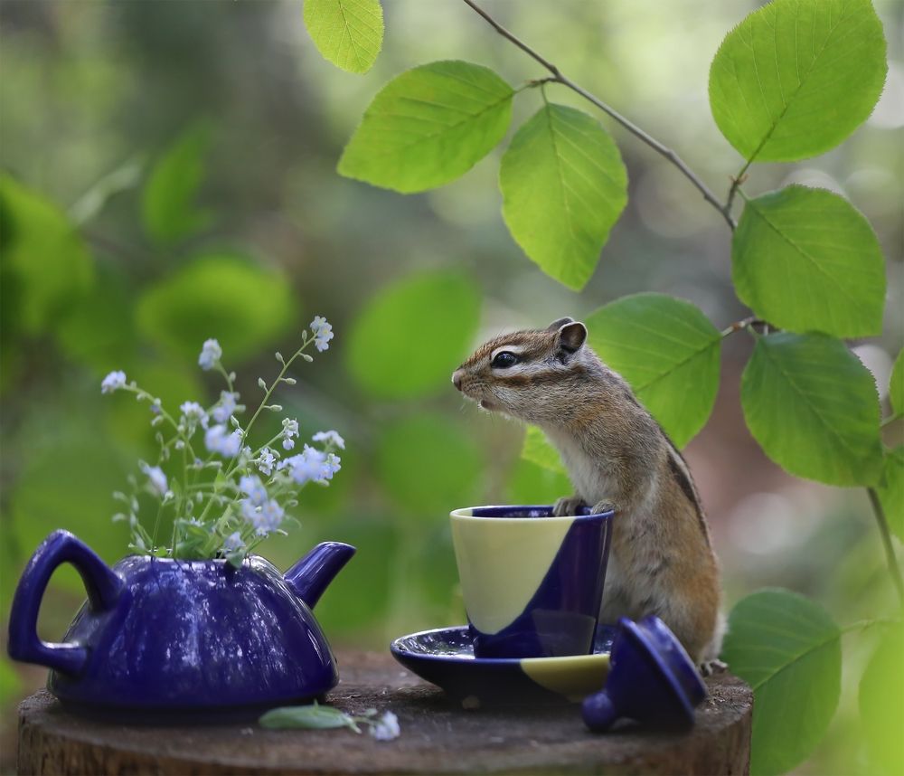 Photograph by Евгения Левина