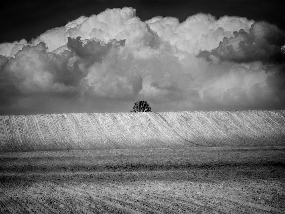 Photograph by Adrian Eperjessy