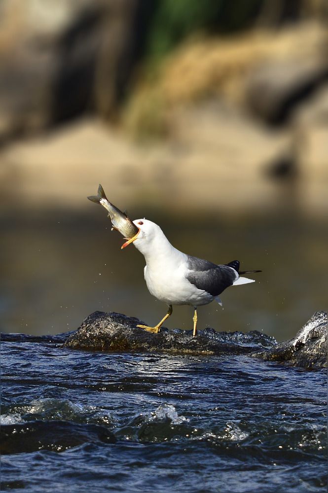 Photograph by Fatih YILMAZ