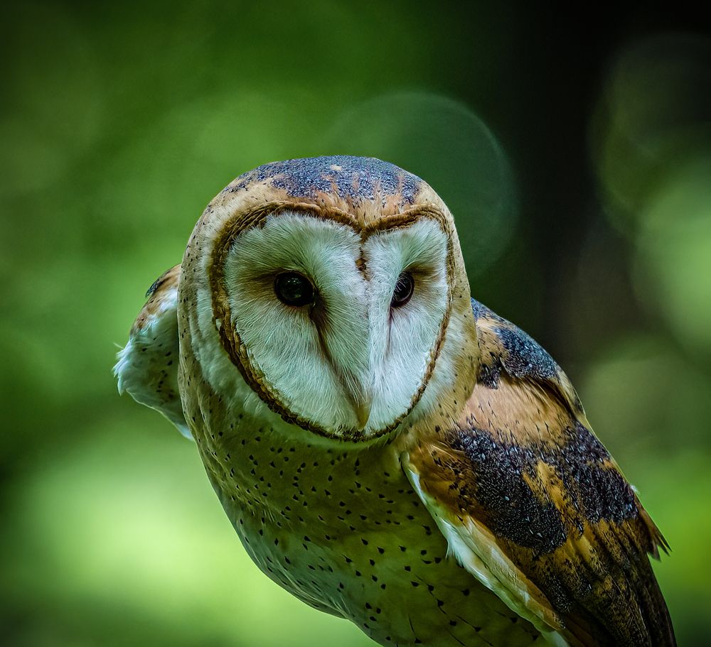 Photograph by Curt Lundeen