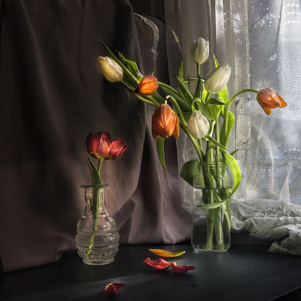 Фотография автора Milena Ivanova