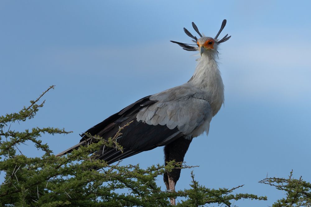 Photograph by Raquel Barao