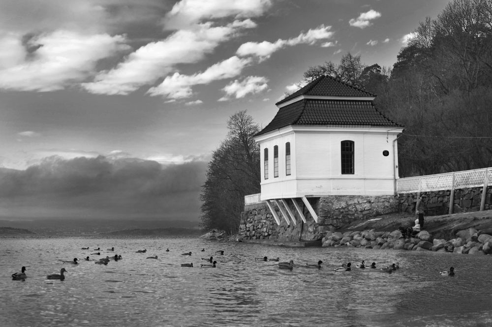 Photograph by Aušrinė Bui