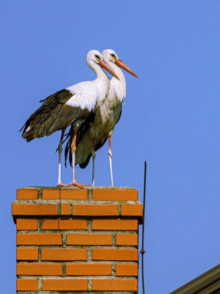 Photograph by Valdis Serzhans