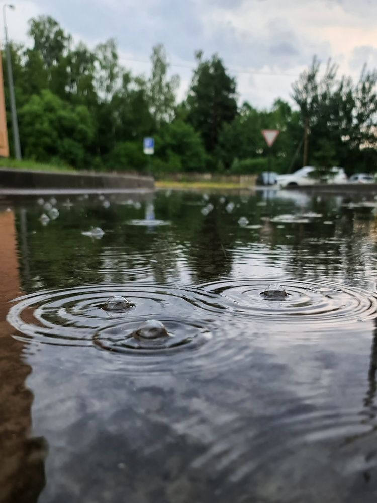 Photograph by Светлана Смирнова