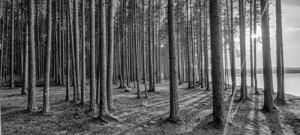 Photograph by Василий Арлашов