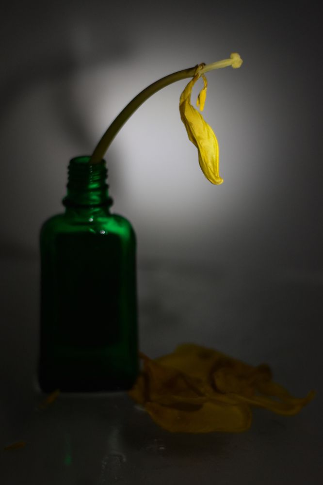 Photograph by Татьяна Медведева