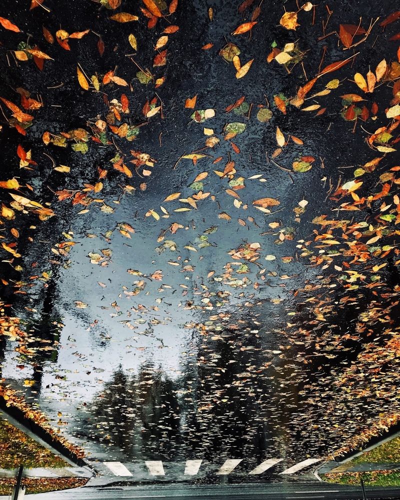 Photograph by Мария Фомичева