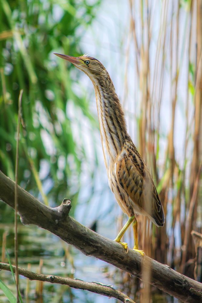 Photograph by Оксана Маховская